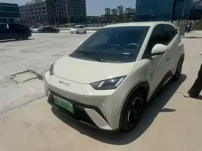 BYD Seagull