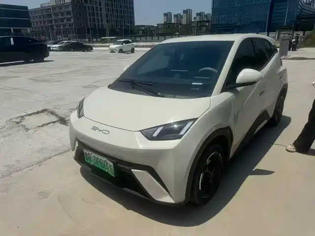 BYD Seagull Слава, 405km, Полёт