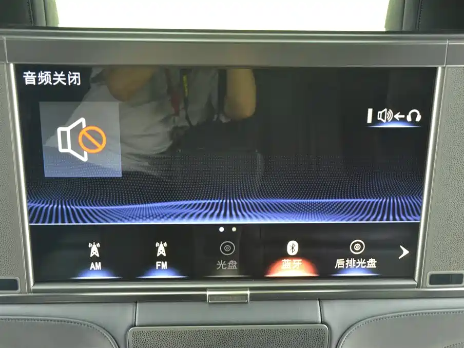 Фото 14 - Lexus LM