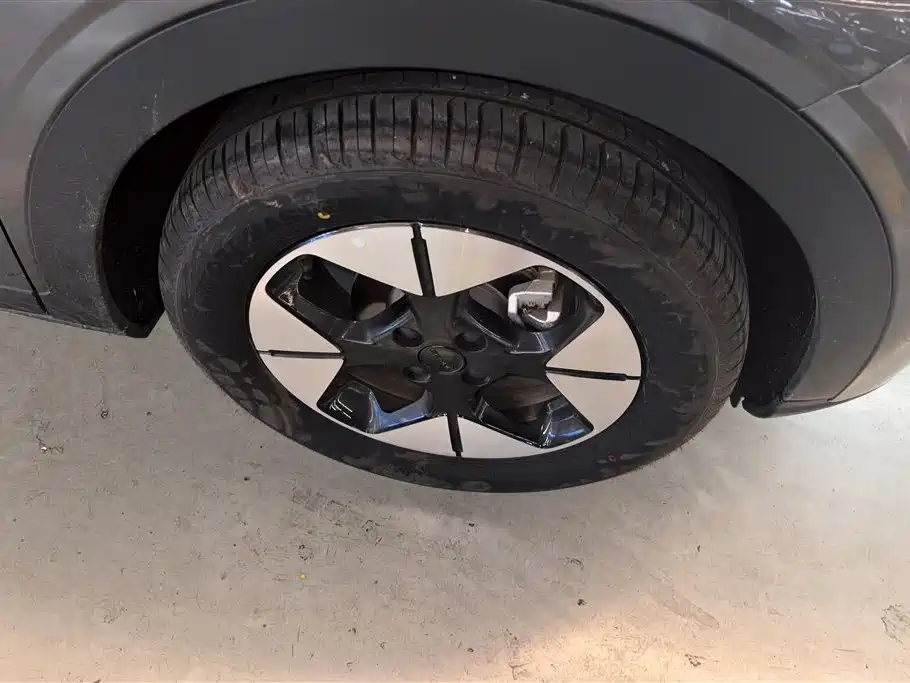 Geely Galaxy Starry Wish 2025 UP 410km Explorer Edition фото 6