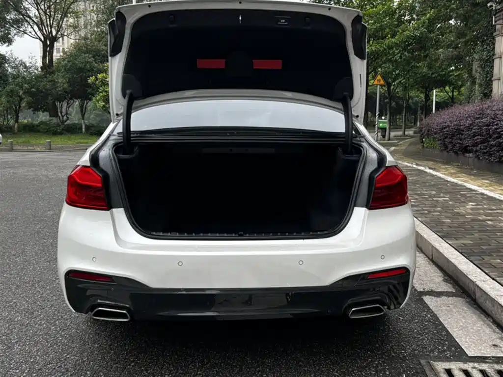 BMW 5 Series 2020 530Li Leading M Sport Package фото 15