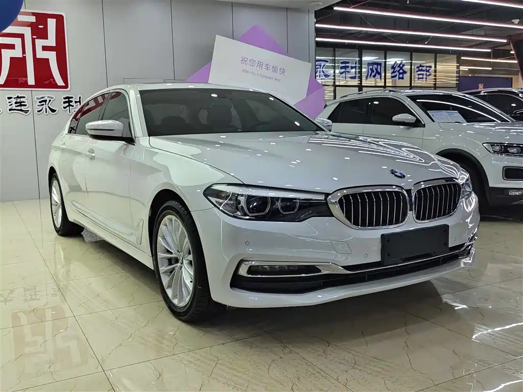 BMW 5 Series 2019 530Li Leading Luxury Package фото 3