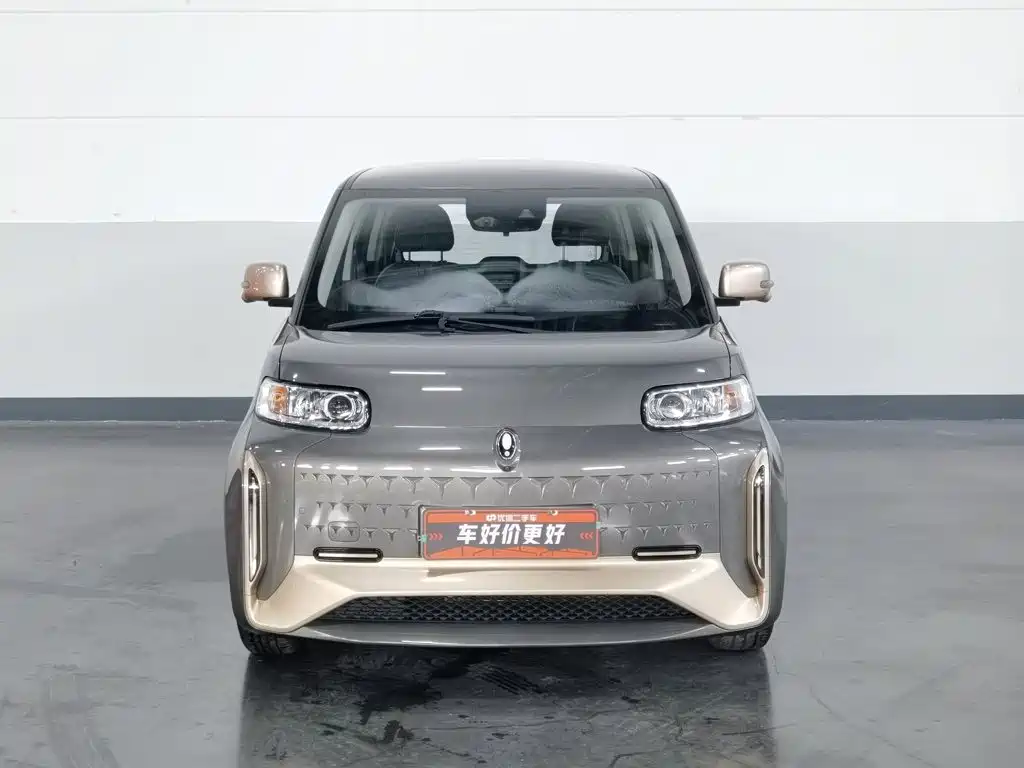Ora White Cat 2022 2022 Wildcat Edition 401km Flagship (NMC)