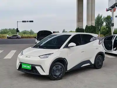 BYD Seagull