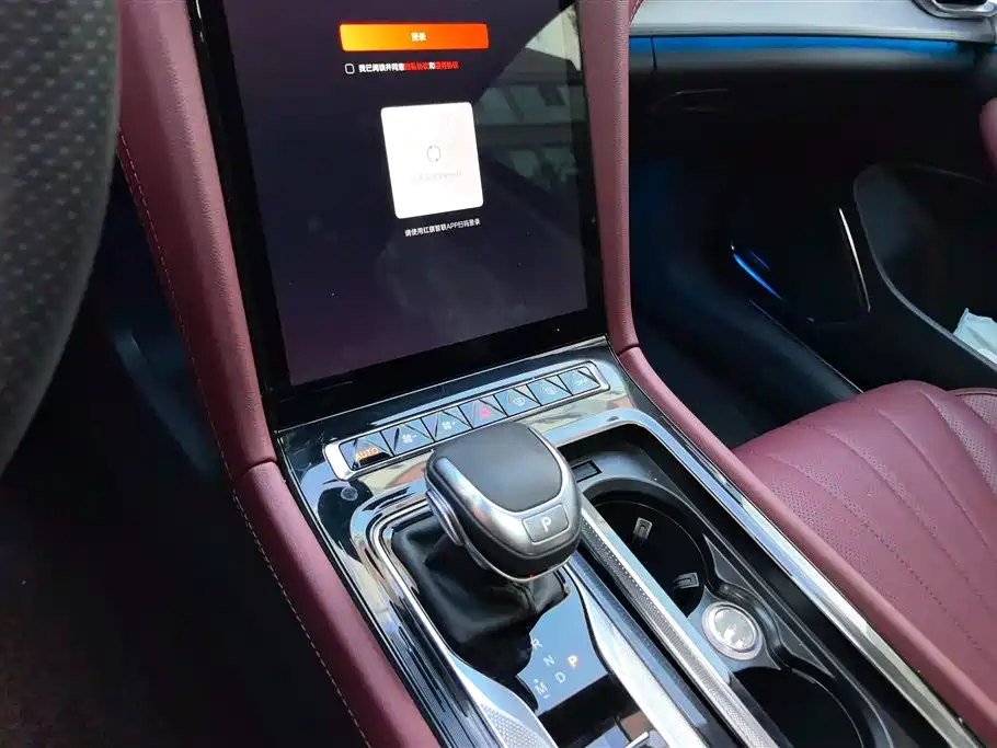 Hongqi H5 2024 2.0T Automatic Smart Connect Flag Smooth Edition фото 16