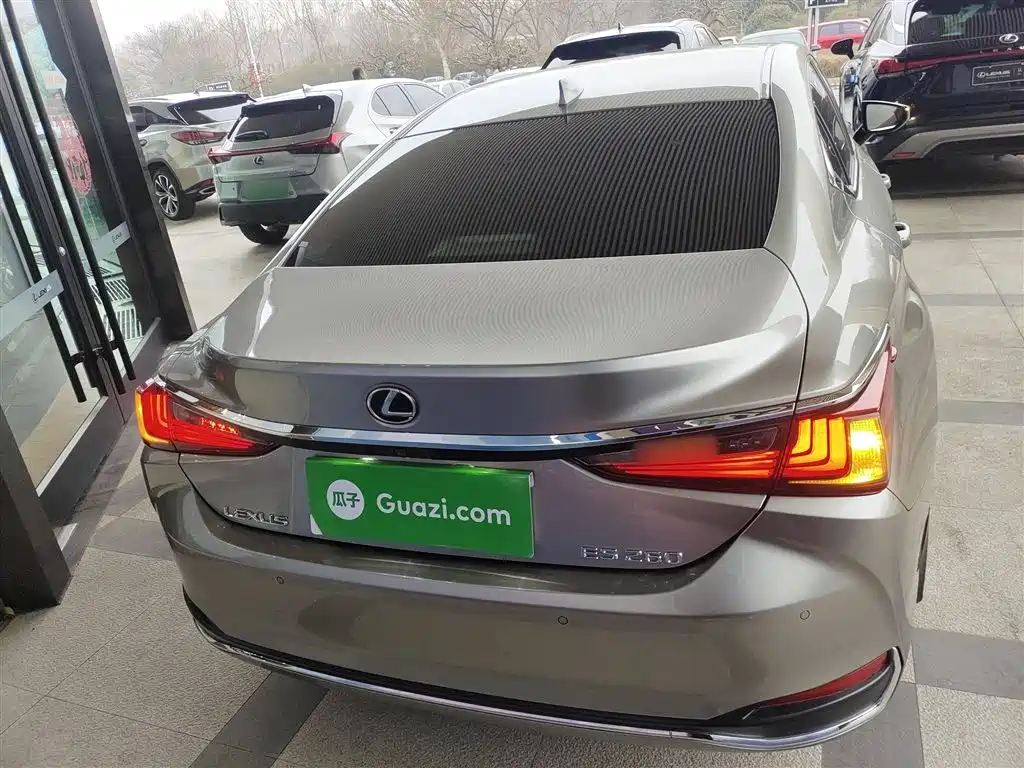 Lexus ES 2018 260 Excellence Edition China V фото 6