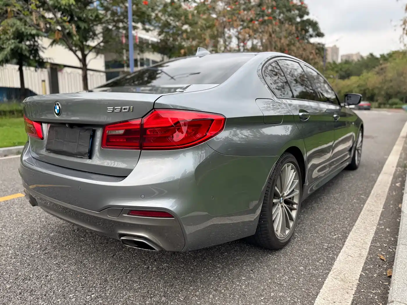 BMW 5 Series (Import) 2019 Facelift 530i M Sport Package фото 6