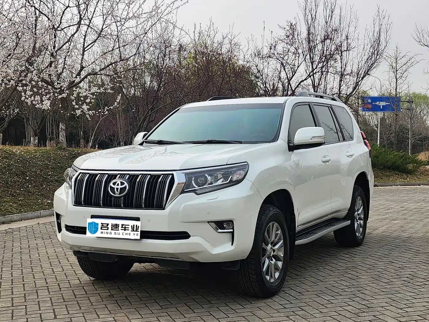 TOYOTA PRADO