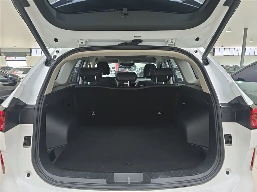 Haval H6 New Energy 2023 DHT-PHEV 110KM Smooth Edition фото 19