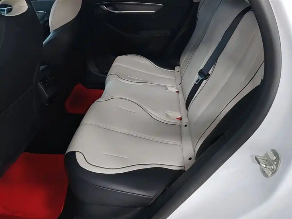BYD Destroyer 05 2023 Model Champion Edition DM-i 120KM Luxury фото 13