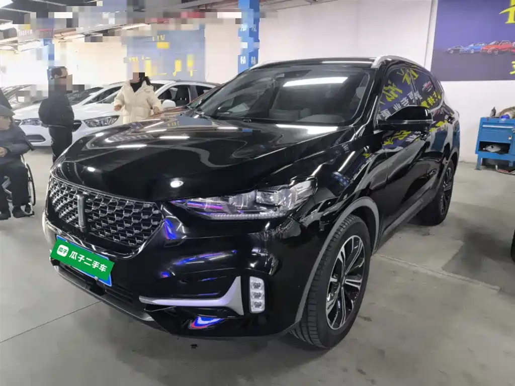2021 WEY VV6