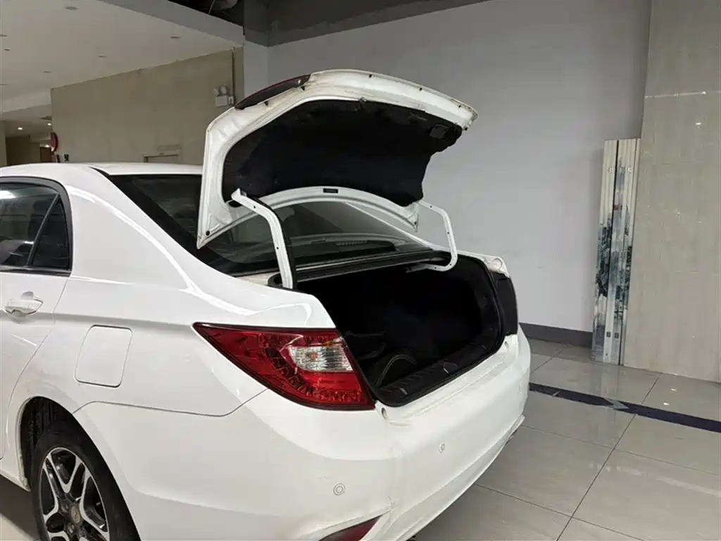 BYD G5 2014 1.5TID Automatic Premium фото 14