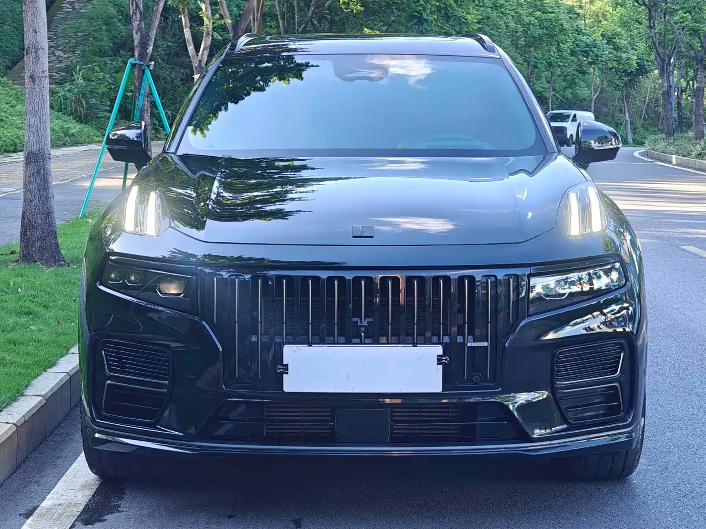 Lynk & Co 09 EM-P 2024 2.0TD EM-P AWD ULTRA 6-Seater фото 2