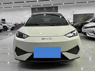 BYD Seagull