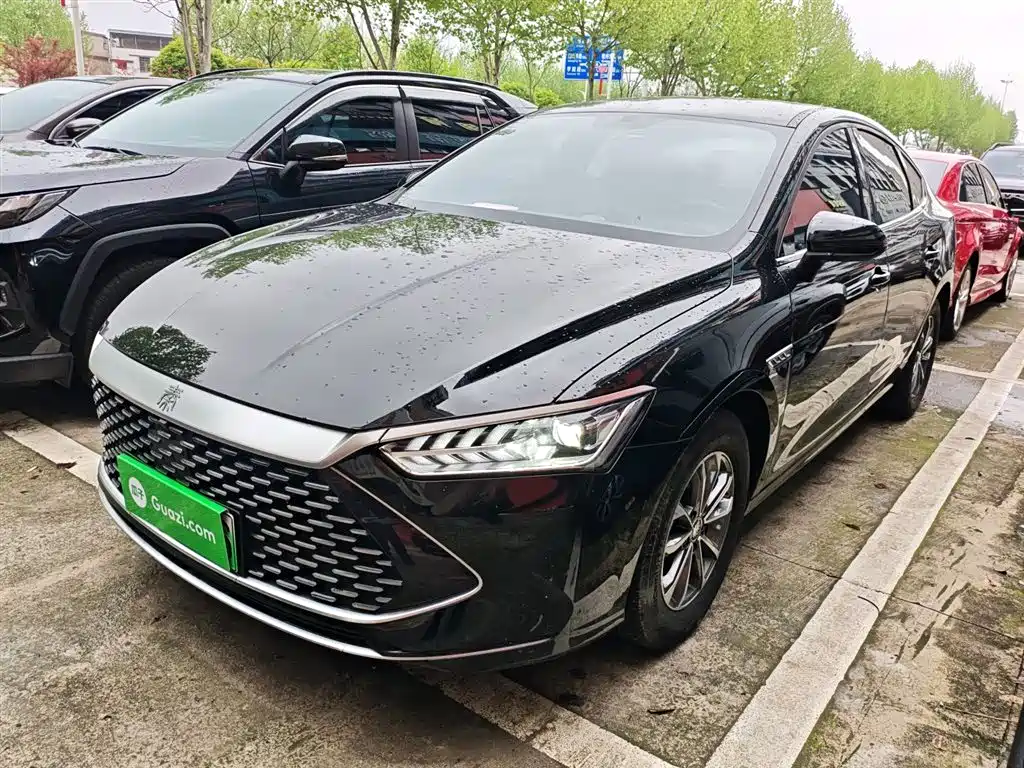 BYD Qin PLUS 2024 Glory Edition DM-i 55KM Leading