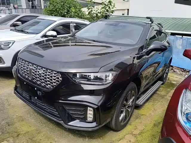  WEY Wey VV5 2020 1.5T 2WD Smart Pioneer