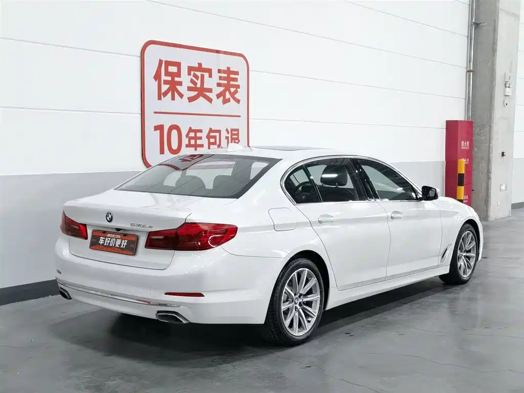 BMW 5 Series New Energy 2019 530Le Luxury Package фото 2