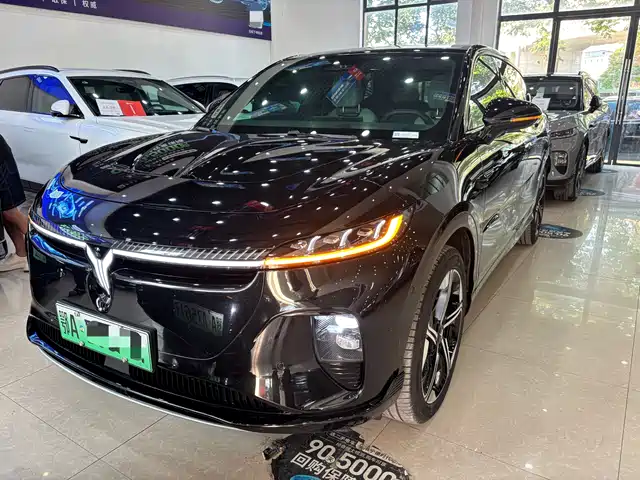 Voyah Auto Voyah Zhiyin 2024 Long Range Smart Edition
