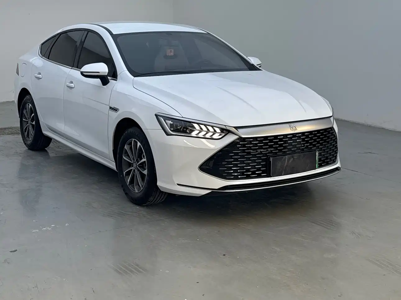 BYD Qin PLUS 2024 Glory Edition DM-i 55KM Leading фото 16