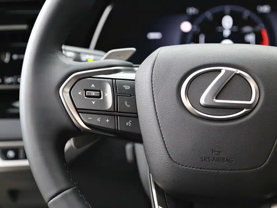 Фото 16 - Lexus RX