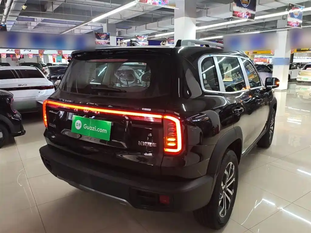Haval Big Dog 2026 Model 1.5T High Configuration фото 7