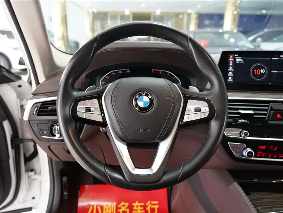 BMW 5 Series 2020 530Li Premium Luxury Package фото 9