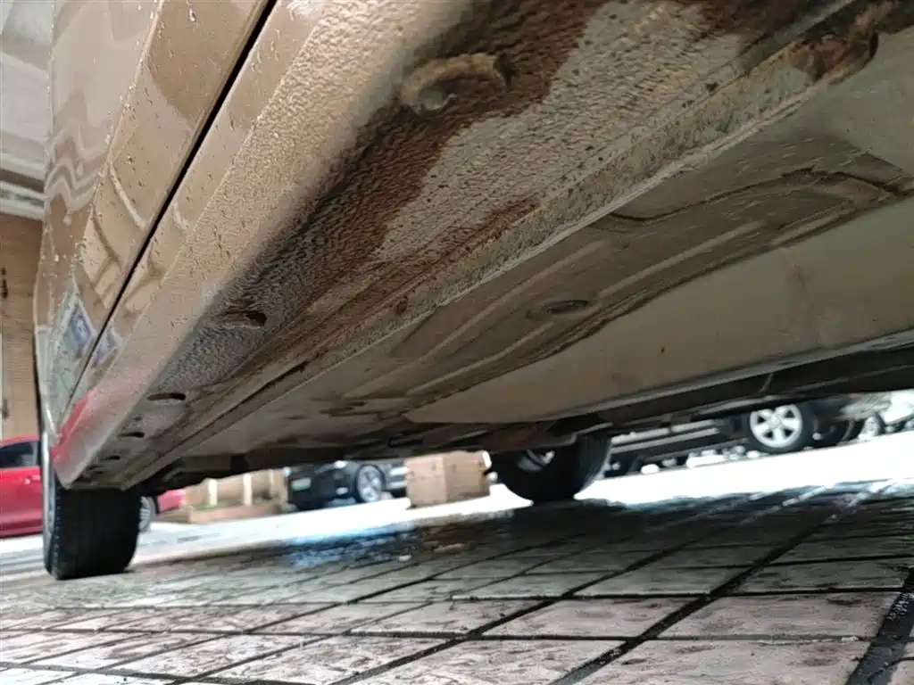 Chevrolet Cavalier 2019 320 Auto Sunroof Enjoyment Edition фото 21