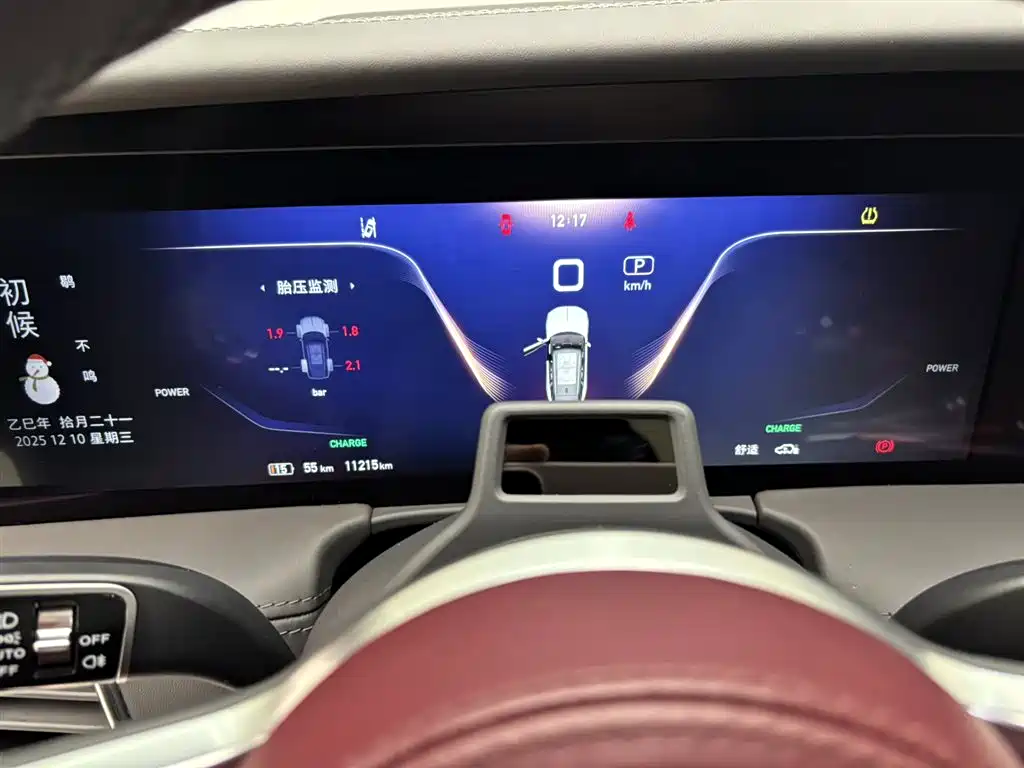 Hongqi E-HS9 2022 660km Qi Ling Edition (4-seater) фото 12