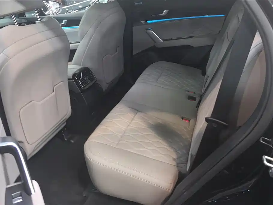 BYD Tang New Energy 2024 DM-i Honor Edition 112KM Premium фото 11