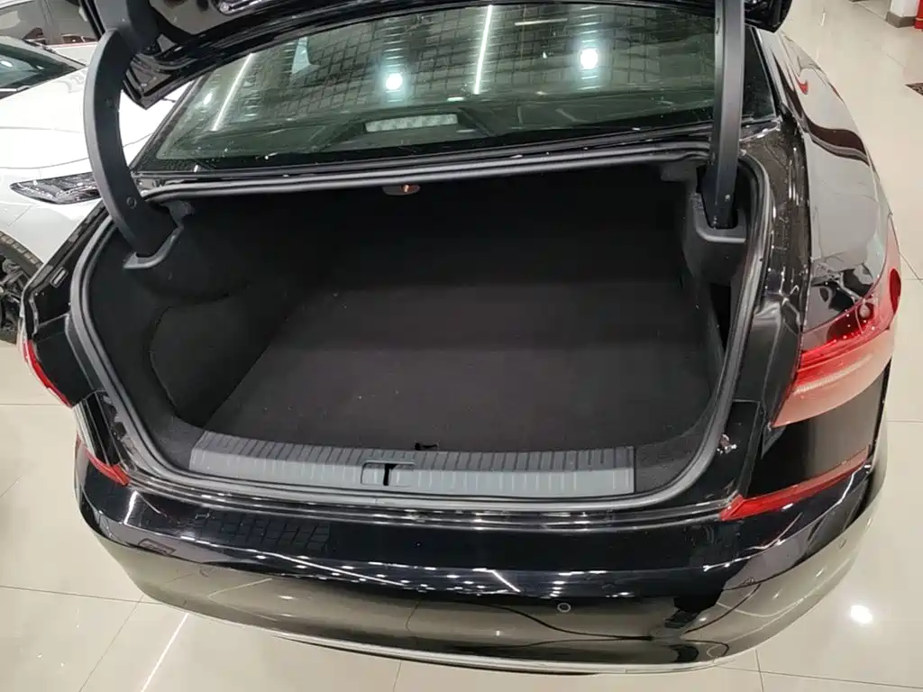VOLKSWAGEN PASSAT NEW ENERGY