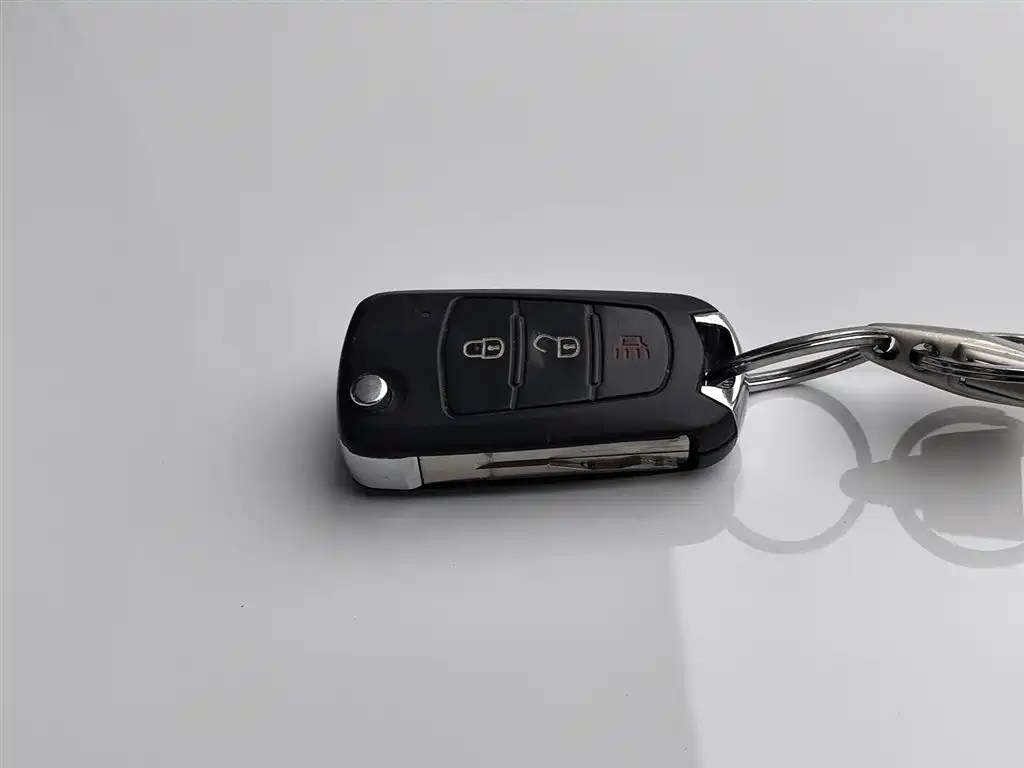 GREAT WALL FENGJUN 5