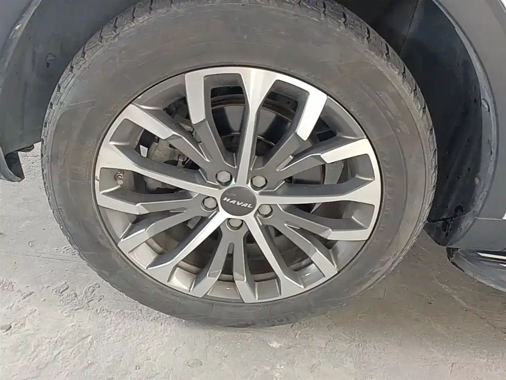 Haval H6 2020 1.5GDIT Automatic Platinum Luxury Edition фото 23