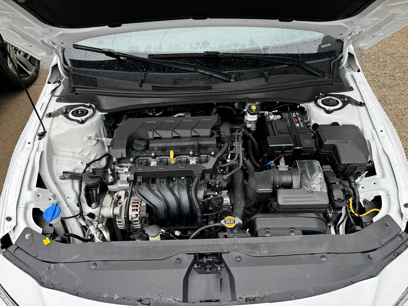 Hyundai Elantra 2023 Model 1.5L CVT LUX Premium Edition фото 10