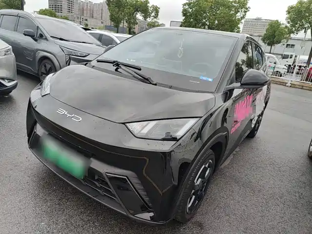 BYD Seagull Полёт