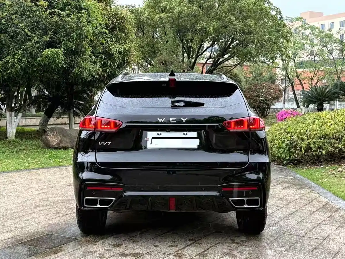 Wey VV7 2021 Model 2.0T Technology Edition фото 8