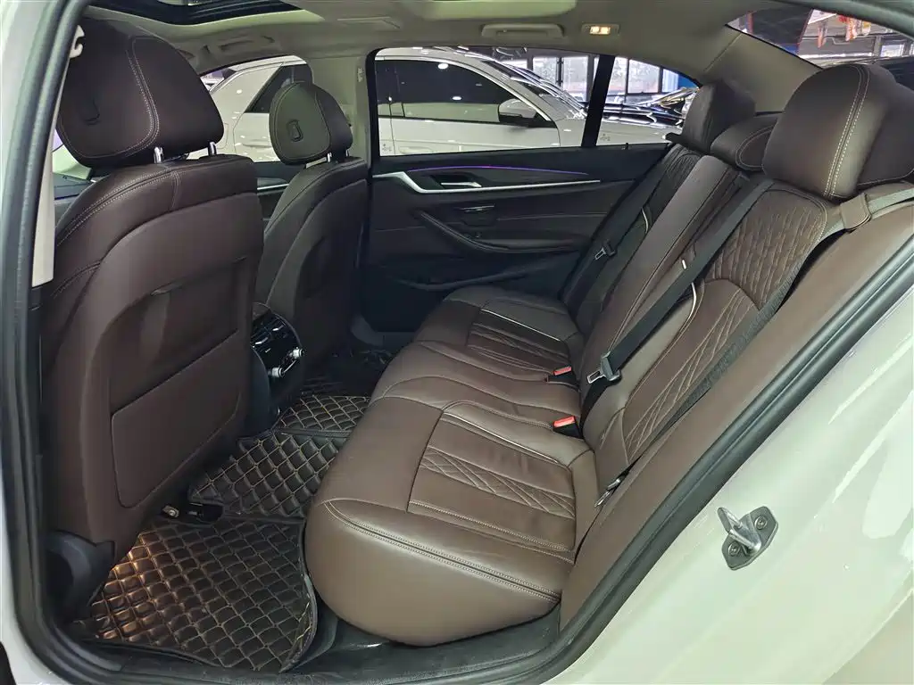 BMW 5 Series 2019 530Li Leading Luxury Package фото 11