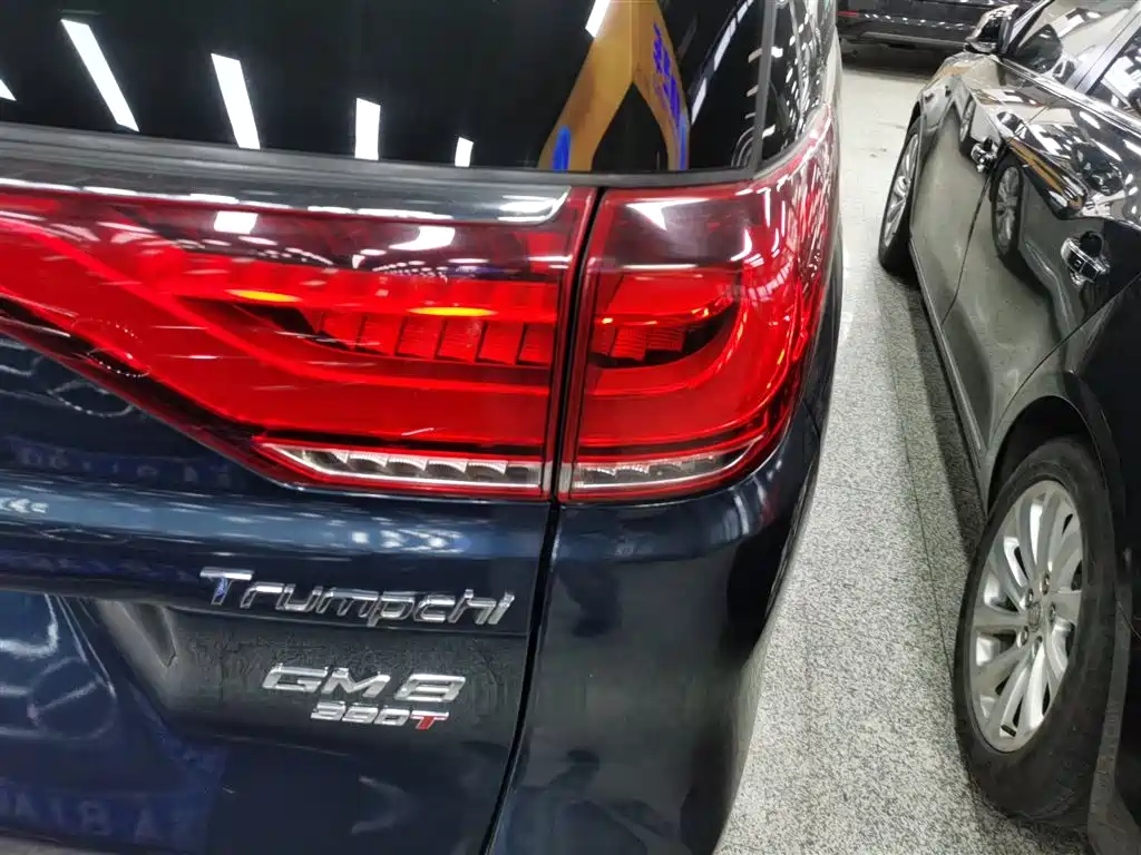 GAC Trumpchi Trumpchi M8 2020 Pilot 390T Premium Edition фото 24