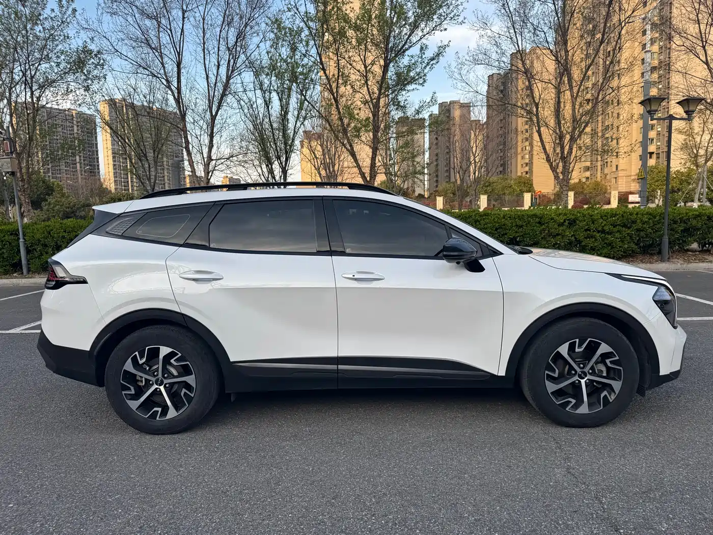KIA LION PLATINUM EXPANDS THE WORLD