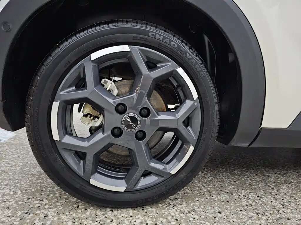 BYD Seagull 2026 2025 Smart Drive Edition 305km Freedom Version