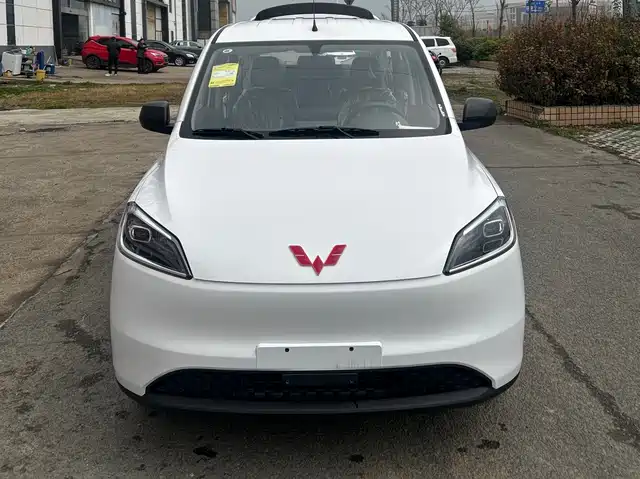 WULING WULING HONGGUANG NEW ENERGY