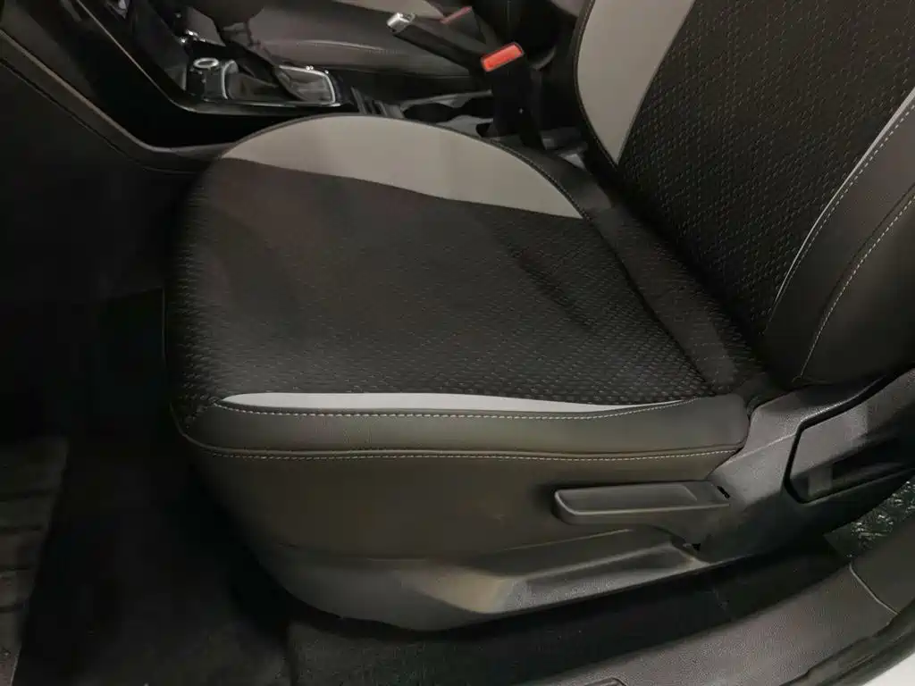 Volkswagen Tanying 2021 1.5L Automatic Smart Connect Edition фото 20
