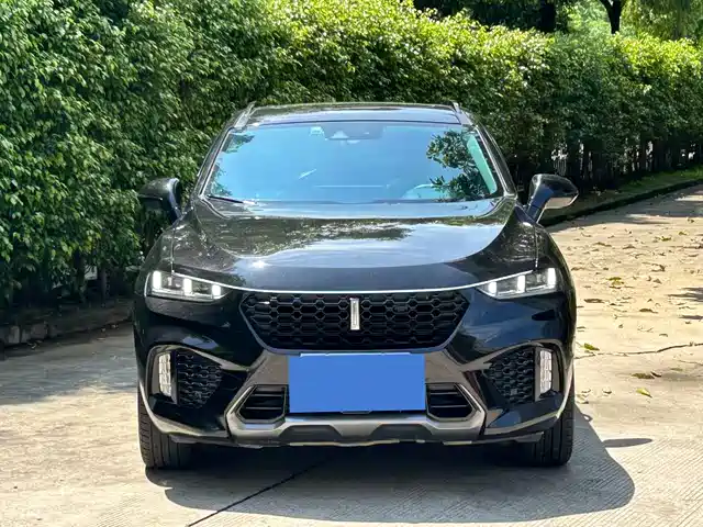 WEI PAI WEI BRAND VV7