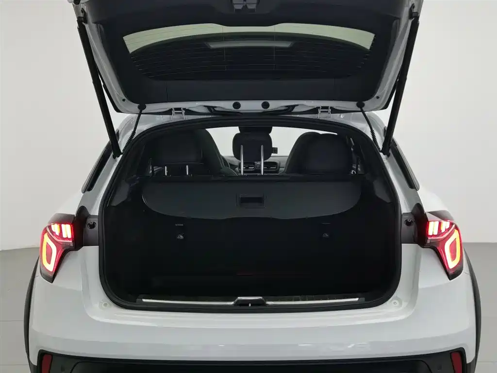 Lynk & Co 02 2021 1.5TD DCT 2WD Power Champion Edition фото 16