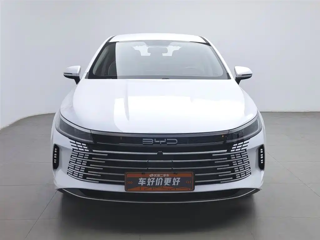 BYD Destroyer 05 2024 Glory Edition DM-i 55KM Luxury фото 3