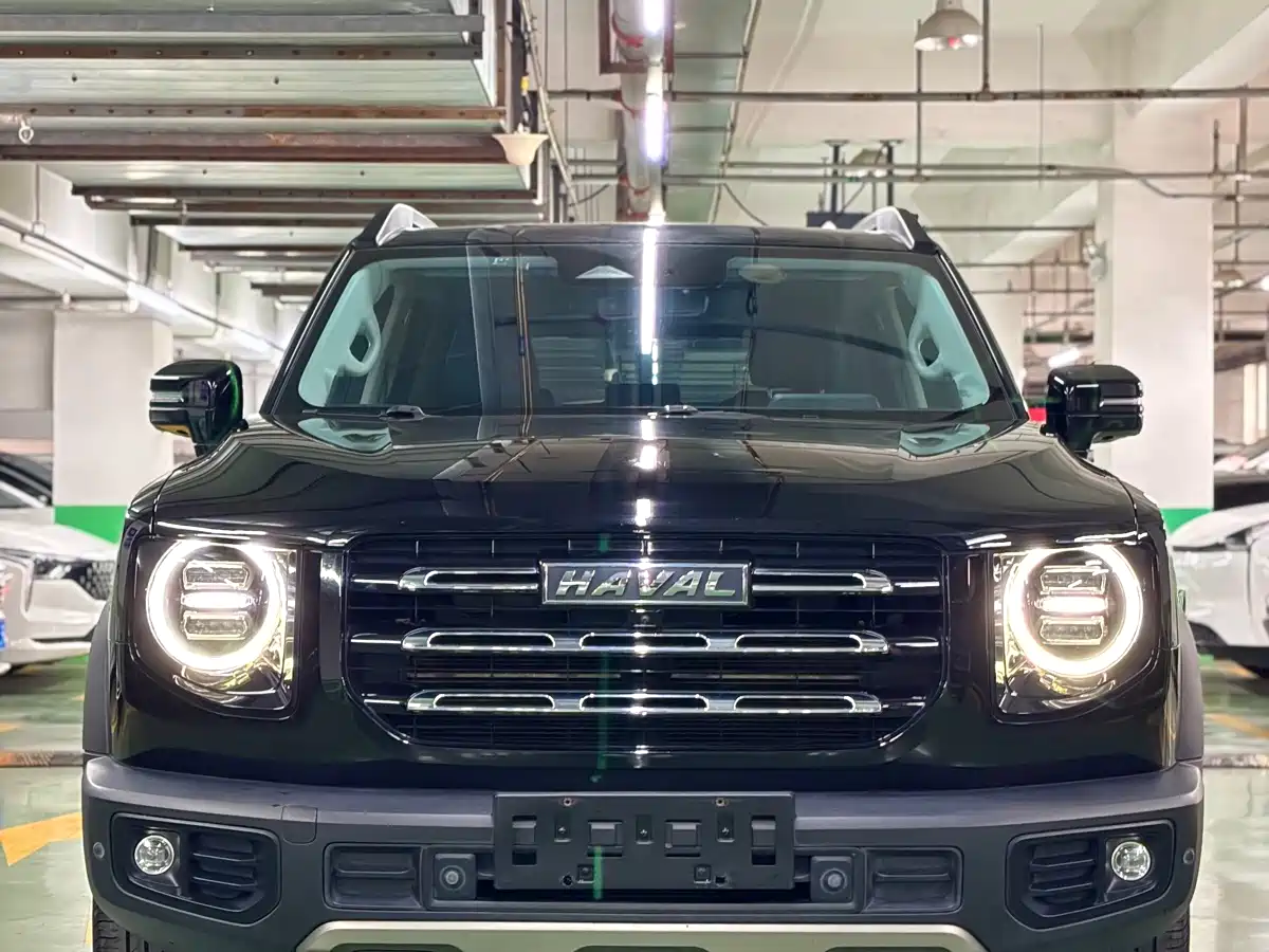 Haval Big Dog 2022 1.5T DCT FWD Border Collie Edition фото 11
