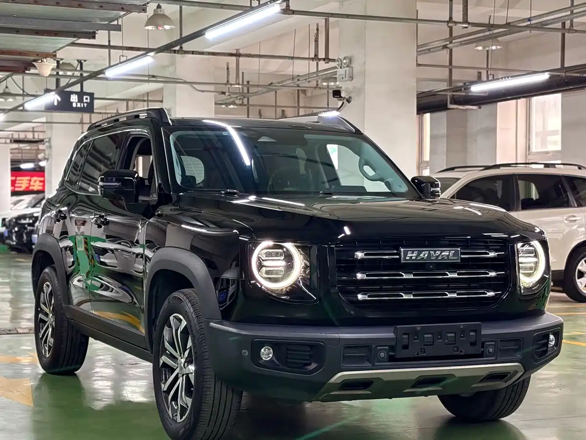 Haval Big Dog 2022 1.5T DCT FWD Border Collie Edition фото 3