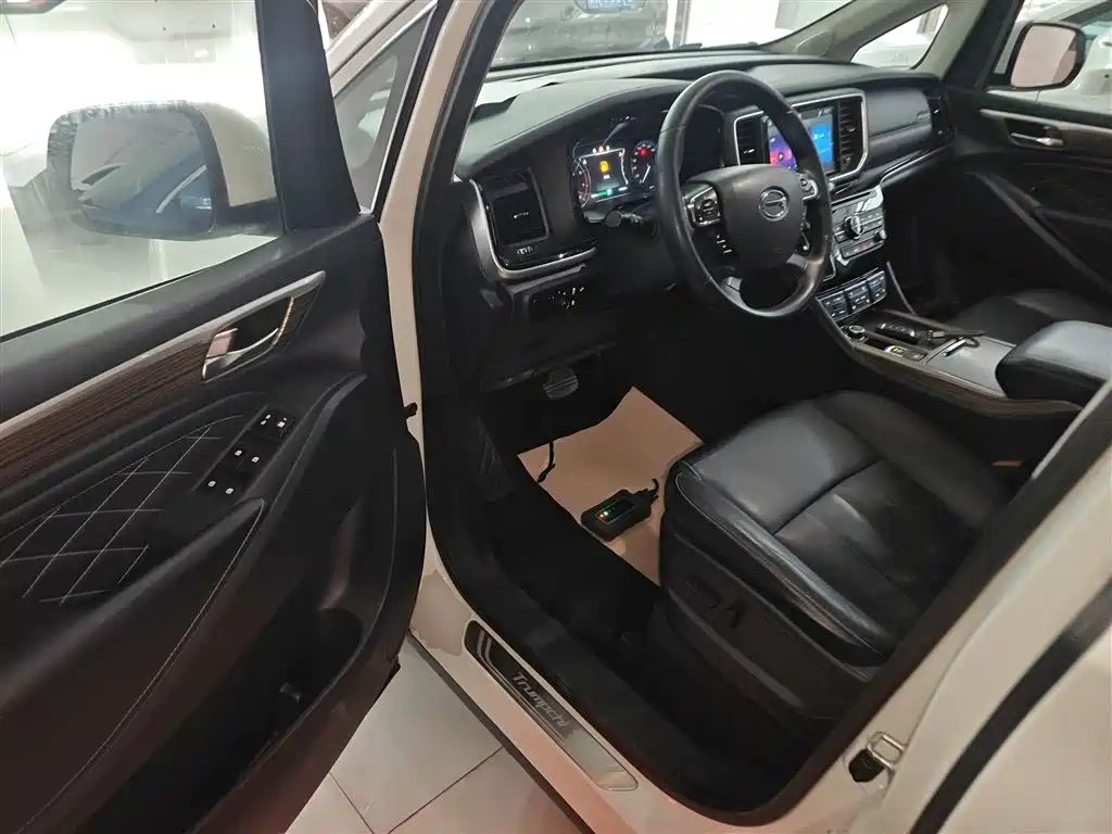 GAC Trumpchi Trumpchi M8 2020 Pilot 390T Premium Edition фото 16