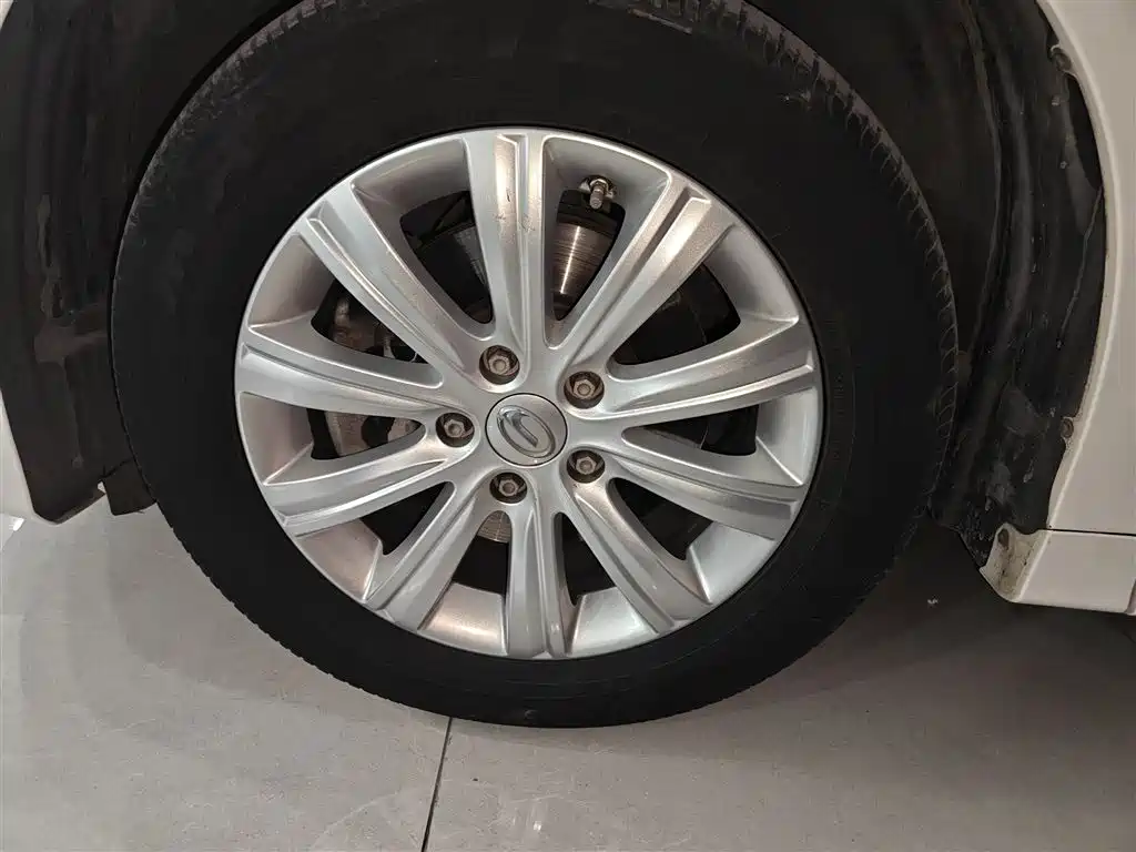 GAC Trumpchi Trumpchi M8 2020 Pilot 390T Premium Edition фото 23