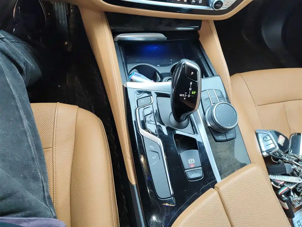 BMW 5 Series 2020 530Li Exclusive M Sport Package фото 14