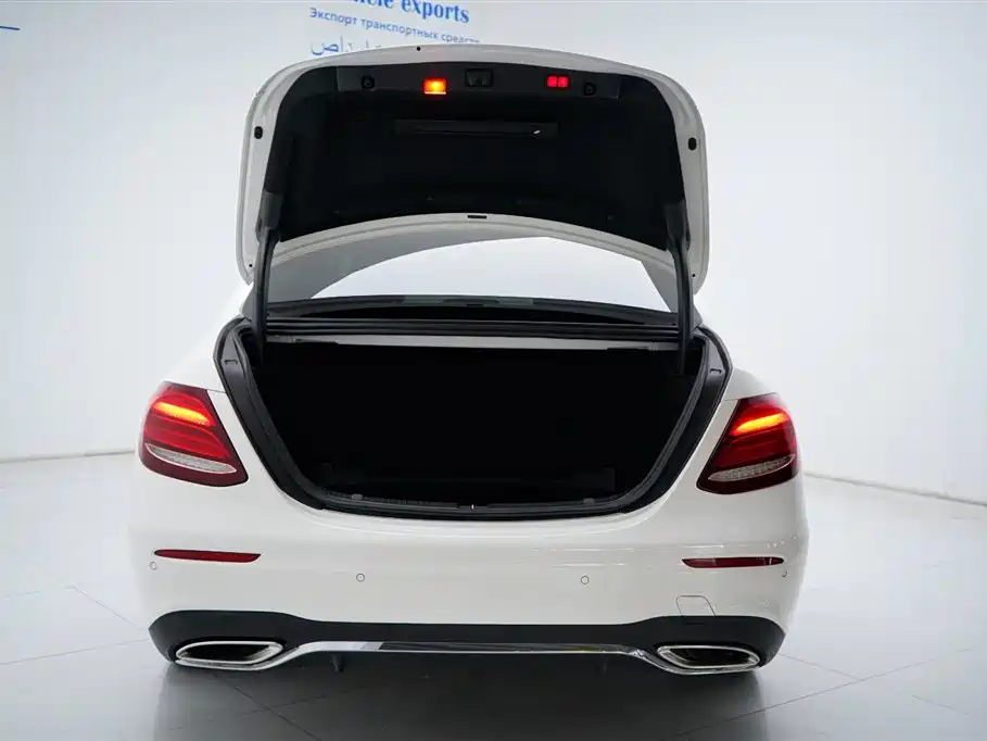 Mercedes-Benz E-Class 2020 E 300 L Sport Luxury Model фото 17